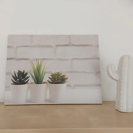 Apartment Dunas De